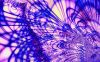 fractal-wallpaper-2-286.jpg