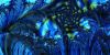Filename=fractal-wallpaper-2-290.jpg
Filesize=142KB
Dimensions=1024x512
Date added=Nov 08, 2007 fractal-wallpaper-2-290.jpg
