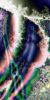 Filename=fractal-wallpaper-2-320.jpg
Filesize=106KB
Dimensions=512x1024
Date added=Nov 08, 2007 fractal-wallpaper-2-320.jpg