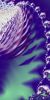 Filename=fractal-wallpaper-2-540.jpg
Filesize=72KB
Dimensions=512x1024
Date added=Nov 08, 2007 fractal-wallpaper-2-540.jpg