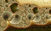 Filename=fractal-wallpaper-2-689.jpg
Filesize=1616KB
Dimensions=2560x1600
Date added=Nov 08, 2007 fractal-wallpaper-2-689.jpg
