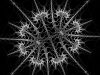 Filename=fractal-wallpaper-2-709.jpg
Filesize=529KB
Dimensions=1600x1200
Date added=Nov 08, 2007 fractal-wallpaper-2-709.jpg