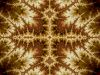 Filename=fractal-wallpaper-2-754.jpg
Filesize=617KB
Dimensions=1600x1200
Date added=Nov 08, 2007 fractal-wallpaper-2-754.jpg