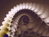 Filename=fractal-wallpaper-098.jpg
Filesize=100KB
Dimensions=1024x768
Date added=May 27, 2007 fractal-wallpaper-098.jpg