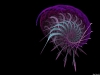 Filename=fractal-wallpaper-145.jpg
Filesize=194KB
Dimensions=1024x768
Date added=May 27, 2007 fractal-wallpaper-145.jpg