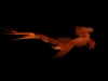 Filename=fractal-wallpaper-263.jpg
Filesize=179KB
Dimensions=1024x768
Date added=May 27, 2007 fractal-wallpaper-263.jpg