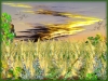 Filename=fractal-wallpaper-392.jpg
Filesize=572KB
Dimensions=1024x768
Date added=May 27, 2007 fractal-wallpaper-392.jpg