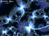 Filename=fractal-wallpaper-428.jpg
Filesize=417KB
Dimensions=1024x768
Date added=May 27, 2007 fractal-wallpaper-428.jpg