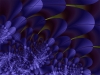 Filename=fractal-wallpaper-545.jpg
Filesize=287KB
Dimensions=800x600
Date added=May 27, 2007 fractal-wallpaper-545.jpg