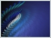 Filename=fractal-wallpaper-602.jpg
Filesize=314KB
Dimensions=1024x768
Date added=May 27, 2007 fractal-wallpaper-602.jpg