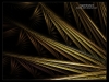 Filename=fractal-wallpaper-635.jpg
Filesize=612KB
Dimensions=1024x768
Date added=May 27, 2007 fractal-wallpaper-635.jpg