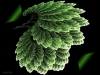 Filename=fractal-wallpaper-645.jpg
Filesize=257KB
Dimensions=1024x768
Date added=May 27, 2007 fractal-wallpaper-645.jpg