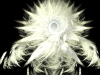 Filename=fractal-wallpaper-647.jpg
Filesize=731KB
Dimensions=1024x768
Date added=May 27, 2007 fractal-wallpaper-647.jpg
