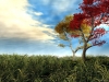 landscape-wallpaper-192.jpg