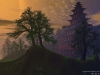 landscape-wallpaper-277.jpg