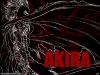 Filename=akira-wallpaper-0058.jpg
Filesize=326KB
Dimensions=1024x768
Date added=Jun 06, 2007 akira-wallpaper-0058.jpg