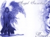 angel-sanctuary-0469.jpg