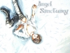 angel-sanctuary-0497.jpg