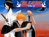 Filename=bleach-wallpaper-0048.jpg
Filesize=117KB
Dimensions=1024x768
Date added=Jun 16, 2007 bleach-wallpaper-0048.jpg