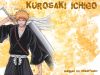 Filename=bleach-wallpaper-0117.jpg
Filesize=497KB
Dimensions=1024x768
Date added=Jun 16, 2007 bleach-wallpaper-0117.jpg