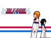 Filename=bleach-wallpaper-0197.jpg
Filesize=163KB
Dimensions=1024x768
Date added=Jun 16, 2007 bleach-wallpaper-0197.jpg