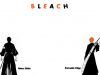 Filename=bleach-wallpaper-0238.jpg
Filesize=89KB
Dimensions=1024x768
Date added=Jun 16, 2007 bleach-wallpaper-0238.jpg