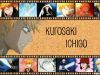 bleach-wallpaper-0264.jpg