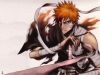 Filename=bleach-wallpaper-0395.jpg
Filesize=336KB
Dimensions=1024x768
Date added=Jun 16, 2007 bleach-wallpaper-0395.jpg