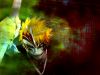 bleach-wallpaper-0656.jpg
