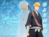 bleach-wallpaper-0729.jpg