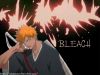 bleach-wallpaper-0730.jpg
