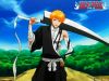 bleach-wallpaper-0736.jpg