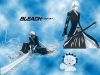 bleach-wallpaper-0742.jpg