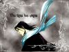 bleach-wallpaper-0747.jpg