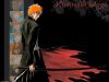 bleach-wallpaper-0748.jpg