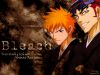 bleach-wallpaper-0791.jpg