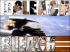 bleach-wallpaper-0905.jpg