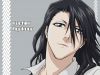 bleach-wallpaper-0943.jpg