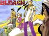 Filename=bleach-wallpaper-0963.jpg
Filesize=555KB
Dimensions=1024x768
Date added=Jun 16, 2007 bleach-wallpaper-0963.jpg