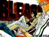 Filename=bleach-wallpaper-0973.jpg
Filesize=587KB
Dimensions=1024x768
Date added=Jun 16, 2007 bleach-wallpaper-0973.jpg