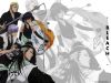 Filename=bleach-wallpaper-1089.jpg
Filesize=307KB
Dimensions=1024x768
Date added=Jun 16, 2007 bleach-wallpaper-1089.jpg