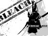 bleach-wallpaper-1153.jpg