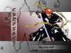 bleach-wallpaper-1168.jpg