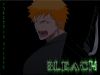bleach-wallpaper-1230.jpg