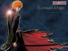 bleach-wallpaper-1252.jpg