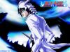 bleach-wallpaper-1258.jpg