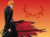 bleach-wallpaper-1264.jpg