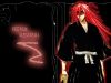 bleach-wallpaper-1275.jpg