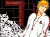 bleach-wallpaper-1277.jpg