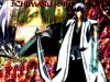 bleach-wallpaper-1547.jpg